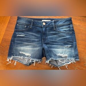 Daytrip Lynx Blue Denim Shorts